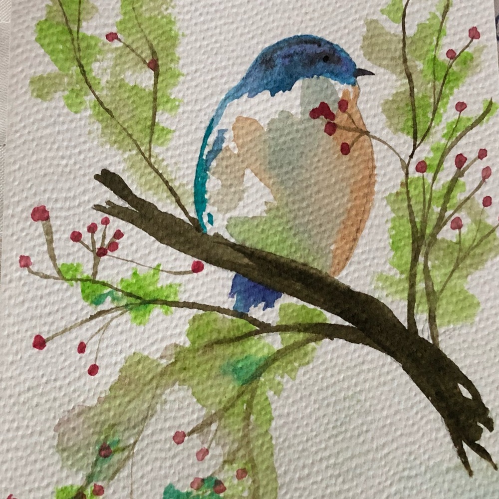 Meet your Posher, Rahat